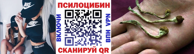 где можно купить   Нурлат  ОМГ ОМГ tor  Галлюциногенные грибы MAGIC MUSHROOMS 